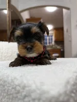 processed/bc870bf9-3cf2-4a80-8267-0cf494b8056d/listing/38e4d240-47e7-4054-b29a-e60ef8663a40/2a396669-6cec-4e66-9b0c-b146030a123a