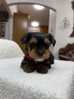 processed/bc870bf9-3cf2-4a80-8267-0cf494b8056d/listing/38e4d240-47e7-4054-b29a-e60ef8663a40/9df41107-ba8a-459b-9f7f-5846c8a6c875