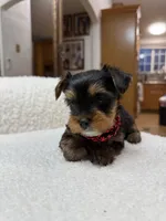 processed/bc870bf9-3cf2-4a80-8267-0cf494b8056d/listing/38e4d240-47e7-4054-b29a-e60ef8663a40/fa389ed5-baa2-4263-83f7-b1b460956bf0