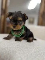 processed/bc870bf9-3cf2-4a80-8267-0cf494b8056d/listing/4a66a704-6848-4800-a3fb-f9b7746ba7fe/195fa60d-8151-40a0-a33a-43205e4efdf5