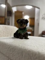 processed/bc870bf9-3cf2-4a80-8267-0cf494b8056d/listing/4a66a704-6848-4800-a3fb-f9b7746ba7fe/3673b2fe-acb2-4cc7-80d2-a798bdea3e16