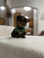 processed/bc870bf9-3cf2-4a80-8267-0cf494b8056d/listing/4a66a704-6848-4800-a3fb-f9b7746ba7fe/dbd23f7d-a6af-42d5-b49c-860876d2c6bc