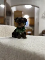 processed/bc870bf9-3cf2-4a80-8267-0cf494b8056d/listing/4a66a704-6848-4800-a3fb-f9b7746ba7fe/e56baad9-c0f1-40aa-bd19-0cd52139c450