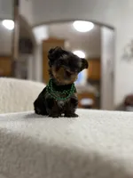 processed/bc870bf9-3cf2-4a80-8267-0cf494b8056d/listing/4a66a704-6848-4800-a3fb-f9b7746ba7fe/fb12efac-eb07-4a60-bb9c-40004be5ba6f