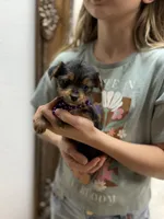 processed/bc870bf9-3cf2-4a80-8267-0cf494b8056d/listing/b4033974-21db-4f1b-b024-1cf1a95c3df3/181f3358-15b8-4ae9-af19-ef327bb1171d