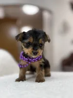 processed/bc870bf9-3cf2-4a80-8267-0cf494b8056d/listing/b4033974-21db-4f1b-b024-1cf1a95c3df3/b42b1708-bbc9-4b98-b48e-fefba7f6b27c