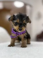 processed/bc870bf9-3cf2-4a80-8267-0cf494b8056d/listing/b4033974-21db-4f1b-b024-1cf1a95c3df3/c2c439e6-800b-4743-9025-7eabe31c10cd