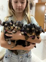 processed/bc870bf9-3cf2-4a80-8267-0cf494b8056d/listing/b4033974-21db-4f1b-b024-1cf1a95c3df3/c3e99ff0-02ee-4a66-98e4-57ce116e95bd