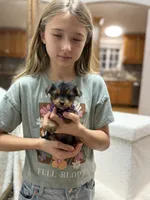 processed/bc870bf9-3cf2-4a80-8267-0cf494b8056d/listing/b4033974-21db-4f1b-b024-1cf1a95c3df3/caf667d0-7897-4ed8-a14a-6040a5c70754