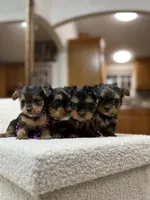 processed/bc870bf9-3cf2-4a80-8267-0cf494b8056d/listing/b4033974-21db-4f1b-b024-1cf1a95c3df3/e5856c79-d057-47c1-bc5e-b1162f01f2d0