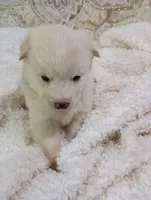 processed/bc87dfcf-b6f2-41df-88b2-2f9d091e709b/listing/2ad1e8b1-0634-4fd5-a77e-3b353a71535d/46b8c5f2-42e8-47a9-9d01-a4a1f98642db