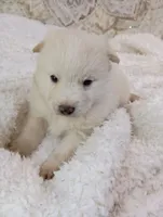 processed/bc87dfcf-b6f2-41df-88b2-2f9d091e709b/listing/2ad1e8b1-0634-4fd5-a77e-3b353a71535d/9fa2d556-7586-40da-a0fe-ca76b150d63b