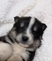 processed/bc87dfcf-b6f2-41df-88b2-2f9d091e709b/listing/4a6e4b6d-db87-47c5-bd0c-9e99d82a5874/1d92740f-ebdf-4e11-961c-6987e608ea9a