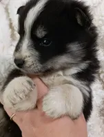 processed/bc87dfcf-b6f2-41df-88b2-2f9d091e709b/listing/4a6e4b6d-db87-47c5-bd0c-9e99d82a5874/3edc6ee9-8eb8-4946-b497-214a9e33537b