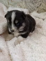 processed/bc87dfcf-b6f2-41df-88b2-2f9d091e709b/listing/4a6e4b6d-db87-47c5-bd0c-9e99d82a5874/aa238ff0-0874-4e6c-b65e-4aee31fc44b7