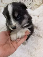 processed/bc87dfcf-b6f2-41df-88b2-2f9d091e709b/listing/4a6e4b6d-db87-47c5-bd0c-9e99d82a5874/d7c16fa5-23c6-4bc3-afbc-cb24565c3645