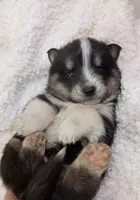 processed/bc87dfcf-b6f2-41df-88b2-2f9d091e709b/listing/4a6e4b6d-db87-47c5-bd0c-9e99d82a5874/e7c560ad-a67f-4f55-a221-baabbd3960dd