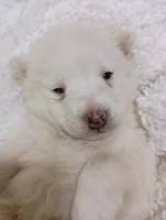 processed/bc87dfcf-b6f2-41df-88b2-2f9d091e709b/listing/aac27d46-8fca-4a14-9d6a-605cfdbc89f4/274aa357-aefb-4e18-b9eb-38d46a8cc5d7