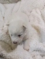 processed/bc87dfcf-b6f2-41df-88b2-2f9d091e709b/listing/aac27d46-8fca-4a14-9d6a-605cfdbc89f4/3aeb56d2-279a-4295-a47a-abba46a7cf35