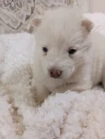 processed/bc87dfcf-b6f2-41df-88b2-2f9d091e709b/listing/aac27d46-8fca-4a14-9d6a-605cfdbc89f4/8dcdd088-3de0-4646-bd47-2cb479992f84