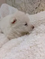 processed/bc87dfcf-b6f2-41df-88b2-2f9d091e709b/listing/aac27d46-8fca-4a14-9d6a-605cfdbc89f4/a4aa442a-8c0a-415a-88ad-6adfbd8a492f