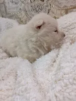 processed/bc87dfcf-b6f2-41df-88b2-2f9d091e709b/listing/aac27d46-8fca-4a14-9d6a-605cfdbc89f4/c0240a94-874b-4214-bc62-659418484822