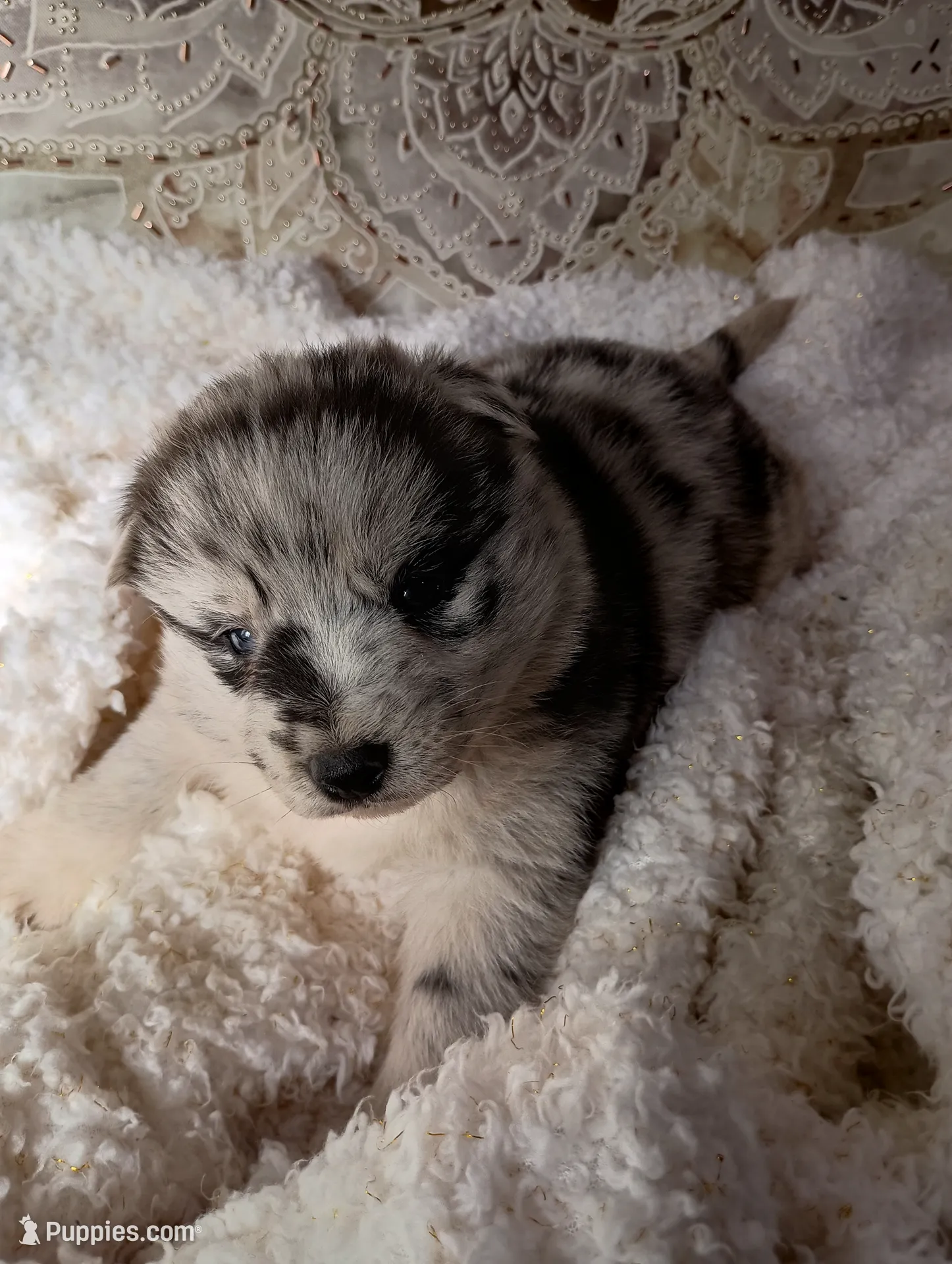 processed/bc87dfcf-b6f2-41df-88b2-2f9d091e709b/listing/c1fb56e9-6e9f-4168-b0ef-4b1a66c07050/40ee43e1-682e-4a73-b2c9-e2a036fc6979