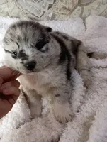 processed/bc87dfcf-b6f2-41df-88b2-2f9d091e709b/listing/c1fb56e9-6e9f-4168-b0ef-4b1a66c07050/a841df31-3502-47fd-9d23-3fba5e709c71