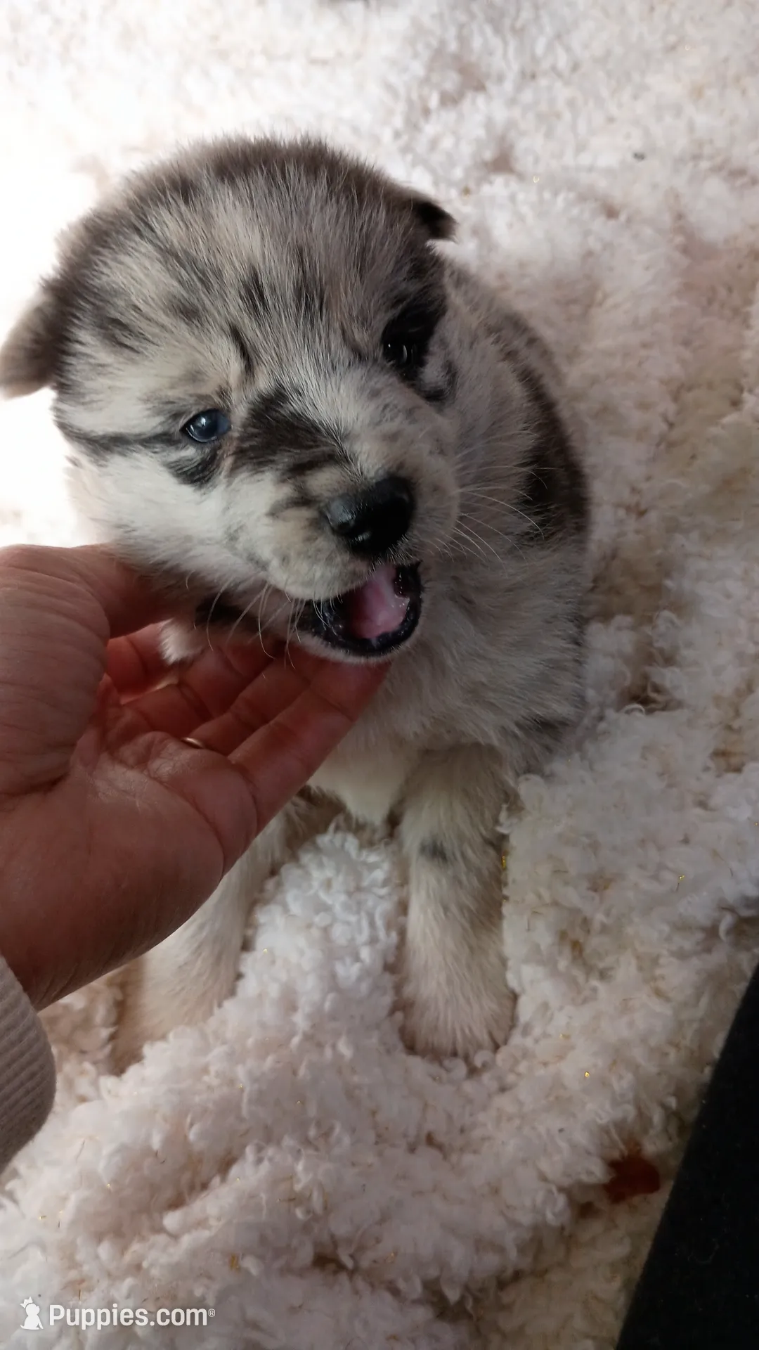 processed/bc87dfcf-b6f2-41df-88b2-2f9d091e709b/listing/c1fb56e9-6e9f-4168-b0ef-4b1a66c07050/b9de542c-baf1-4bca-b33a-2581a63c7e2f