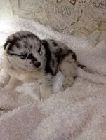 processed/bc87dfcf-b6f2-41df-88b2-2f9d091e709b/listing/c1fb56e9-6e9f-4168-b0ef-4b1a66c07050/cc1f5f72-0458-4478-86bd-09fab402dd8a