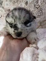 processed/bc87dfcf-b6f2-41df-88b2-2f9d091e709b/listing/c1fb56e9-6e9f-4168-b0ef-4b1a66c07050/e43e12f8-2f8a-4cab-9732-6cf9cb12fda4