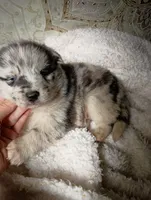 processed/bc87dfcf-b6f2-41df-88b2-2f9d091e709b/listing/c1fb56e9-6e9f-4168-b0ef-4b1a66c07050/e8185249-1ee9-4b60-941e-9ee28fc9feca