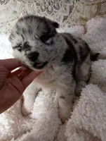 processed/bc87dfcf-b6f2-41df-88b2-2f9d091e709b/listing/c1fb56e9-6e9f-4168-b0ef-4b1a66c07050/fd81f30c-8c15-4b11-a39b-8fb167e1b7e6