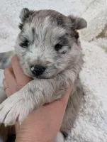 processed/bc87dfcf-b6f2-41df-88b2-2f9d091e709b/listing/fca20d6d-084f-4bc3-8363-5e743f662afa/02faee62-92fa-492d-b3a9-aeddd1e40504