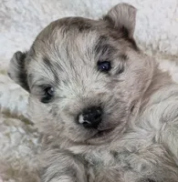 processed/bc87dfcf-b6f2-41df-88b2-2f9d091e709b/listing/fca20d6d-084f-4bc3-8363-5e743f662afa/2baa21f3-d684-4876-b2b8-0343786ba5fa