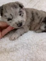 processed/bc87dfcf-b6f2-41df-88b2-2f9d091e709b/listing/fca20d6d-084f-4bc3-8363-5e743f662afa/463216df-61f1-4e20-a02d-1c6aef9188c7