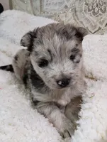 processed/bc87dfcf-b6f2-41df-88b2-2f9d091e709b/listing/fca20d6d-084f-4bc3-8363-5e743f662afa/88bb62eb-482a-4c5f-b3b4-35658ca561ec