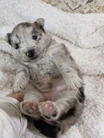 processed/bc87dfcf-b6f2-41df-88b2-2f9d091e709b/listing/fca20d6d-084f-4bc3-8363-5e743f662afa/d4dbb580-acab-4976-b173-3255d458eac2