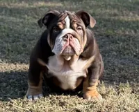 processed/bc8803bd-ad95-4f69-96f0-ff7148cc03f3/facility/31b6df56-0f7e-4190-8cfe-b3ba9ba59344