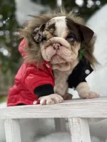 processed/bc8803bd-ad95-4f69-96f0-ff7148cc03f3/facility/630ffaf2-62e0-4599-a5a9-f89baee1b40e