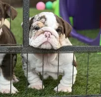 processed/bc8803bd-ad95-4f69-96f0-ff7148cc03f3/facility/6c7253ec-c488-4c00-b3d2-47f7e32e9537