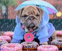 processed/bc8803bd-ad95-4f69-96f0-ff7148cc03f3/facility/784e8b7f-08c2-41cc-857f-2c5e03a3efce