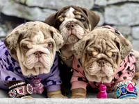 processed/bc8803bd-ad95-4f69-96f0-ff7148cc03f3/facility/8a5ce5cc-5cf9-4eaf-901c-f27cfe1cd814