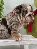 processed/bc8803bd-ad95-4f69-96f0-ff7148cc03f3/facility/9705b835-ec9f-4d50-94c0-5a2de0b3c942