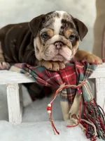 processed/bc8803bd-ad95-4f69-96f0-ff7148cc03f3/facility/be72b808-7245-47dc-a52e-7bfc31521791