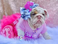 processed/bc8803bd-ad95-4f69-96f0-ff7148cc03f3/facility/fd92b299-7b48-40c2-aae8-a1589ed0b862