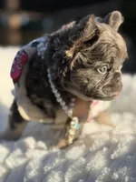 processed/bc8803bd-ad95-4f69-96f0-ff7148cc03f3/listing/23fa252a-45ea-4e78-8162-6dfed8ffccad/227f9765-0645-4e59-9edb-d30646c329ba