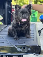 processed/bc8803bd-ad95-4f69-96f0-ff7148cc03f3/listing/23fa252a-45ea-4e78-8162-6dfed8ffccad/7fa1923f-acee-4251-b246-de879dcb1278