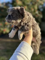 processed/bc8803bd-ad95-4f69-96f0-ff7148cc03f3/listing/23fa252a-45ea-4e78-8162-6dfed8ffccad/a2749833-1dfa-4e92-b92a-708c7eb3e234