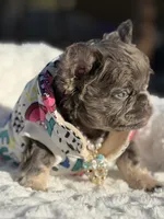 processed/bc8803bd-ad95-4f69-96f0-ff7148cc03f3/listing/23fa252a-45ea-4e78-8162-6dfed8ffccad/ceeacb12-9a27-4ac8-9e40-e60be270b37b